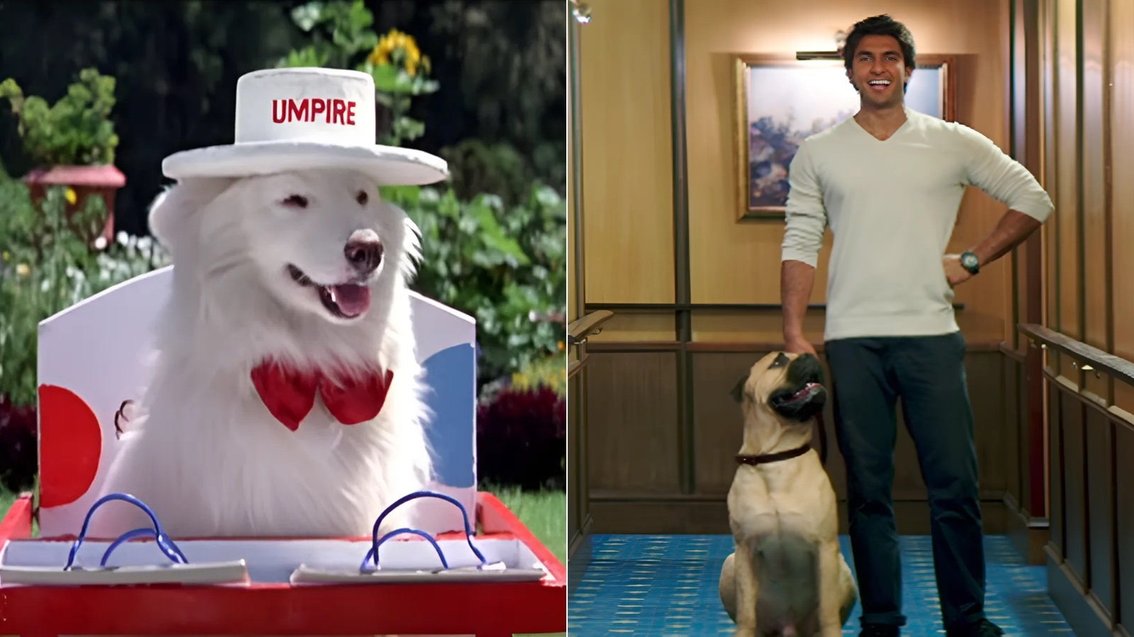 Guess Bollywood Movies from Pets