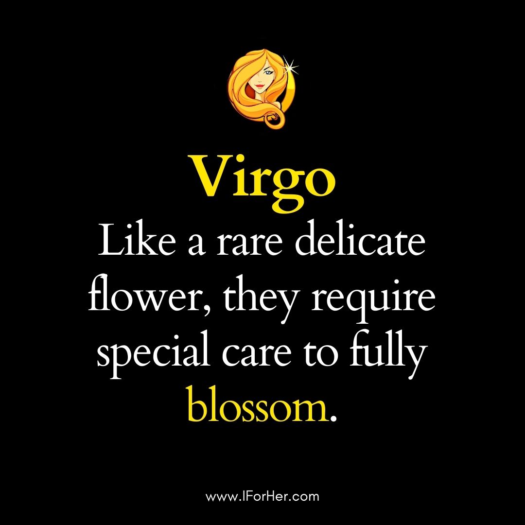 virgo quotes 14