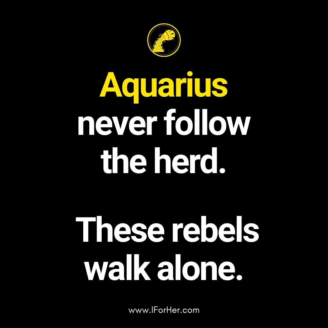 aquarius quotes 24